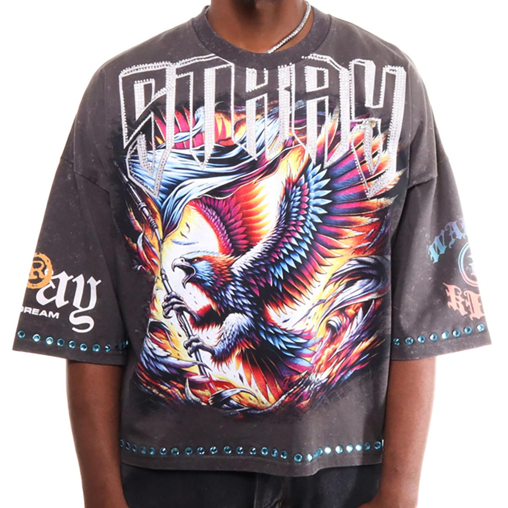 Stray eagle 3/4 sleeve tee