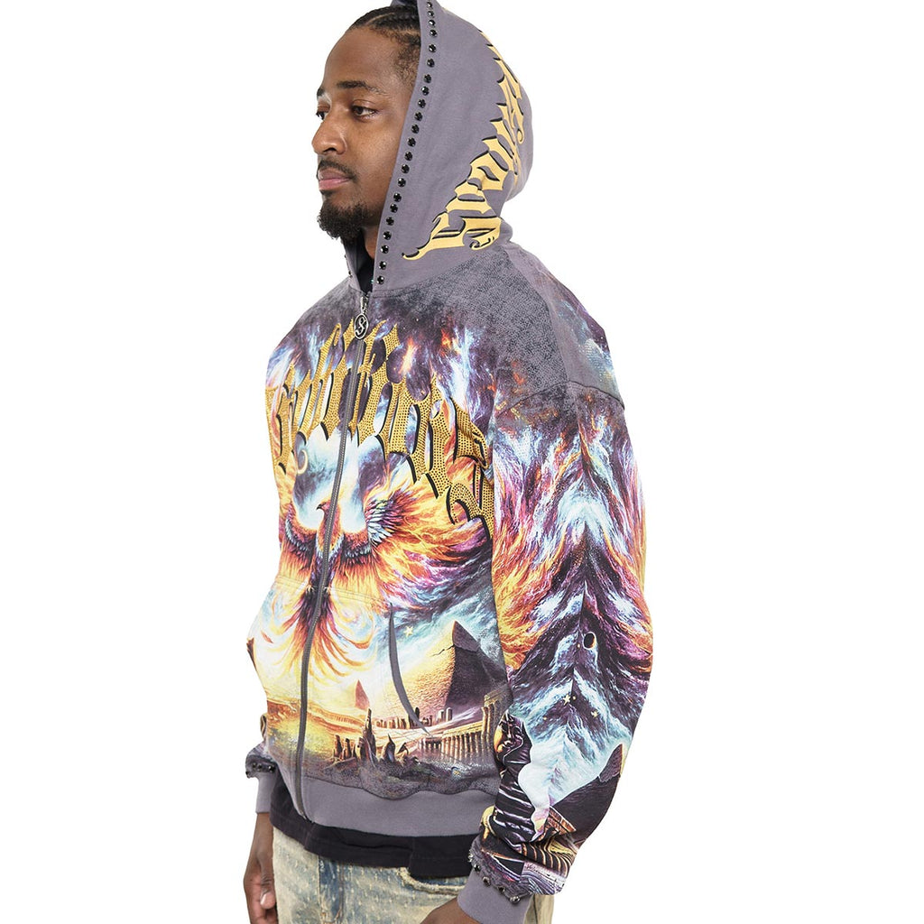 Ambitions stray full-zip hoodie