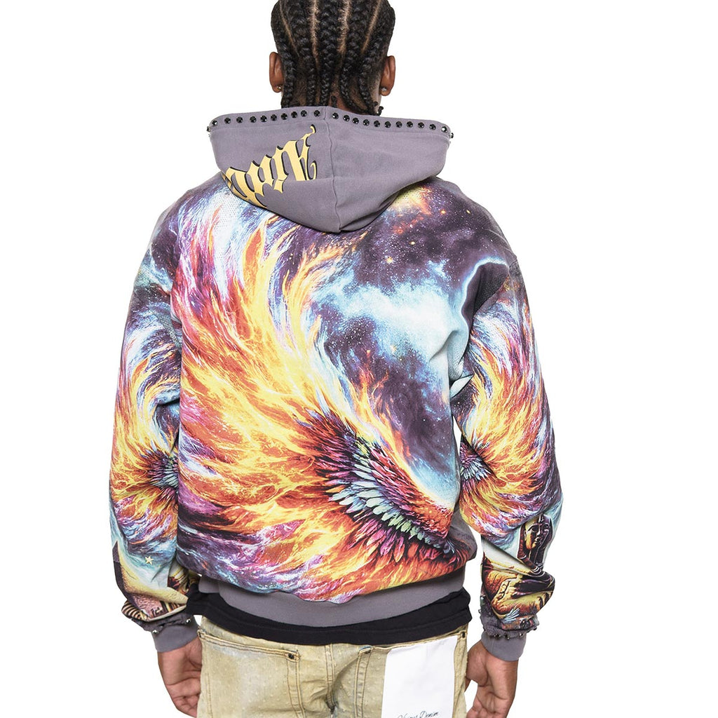 Ambitions stray full-zip hoodie