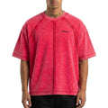 Masked washed tee