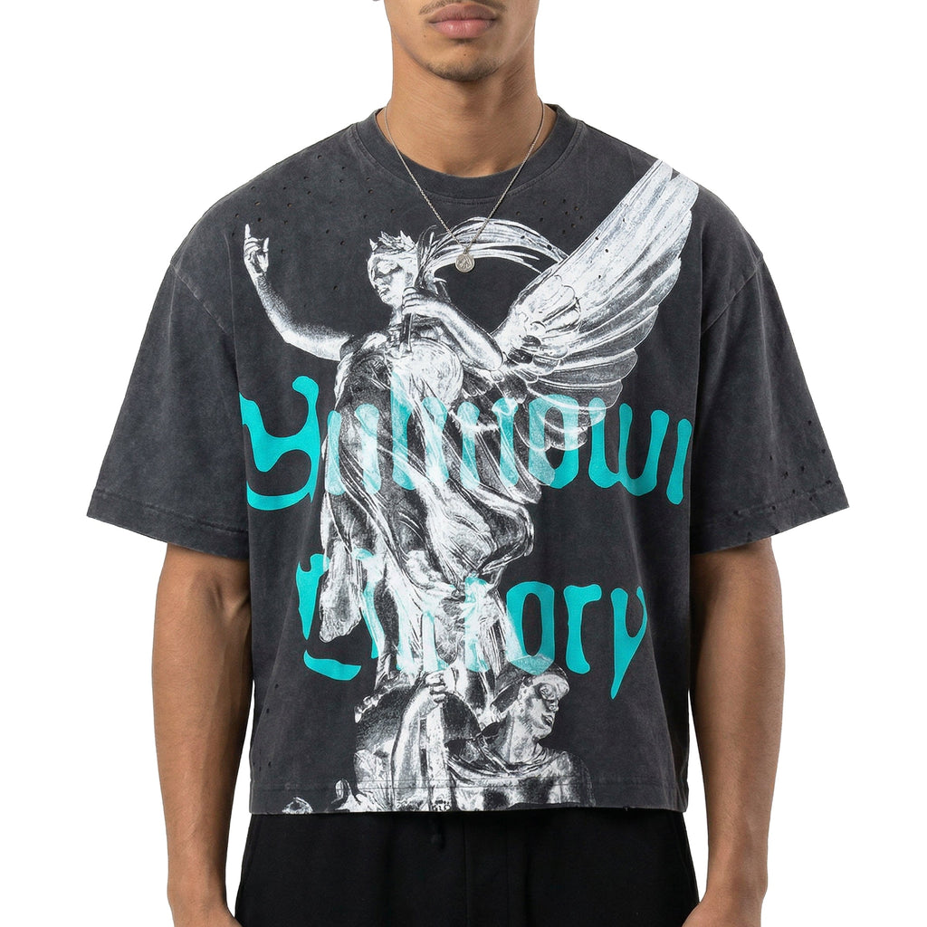 Unknown victory tee