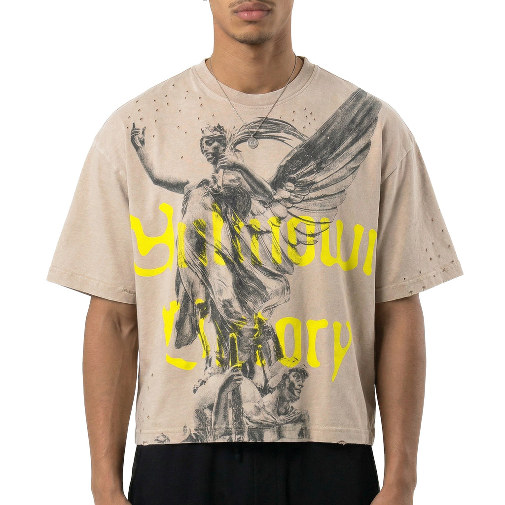 Unknown victory tee