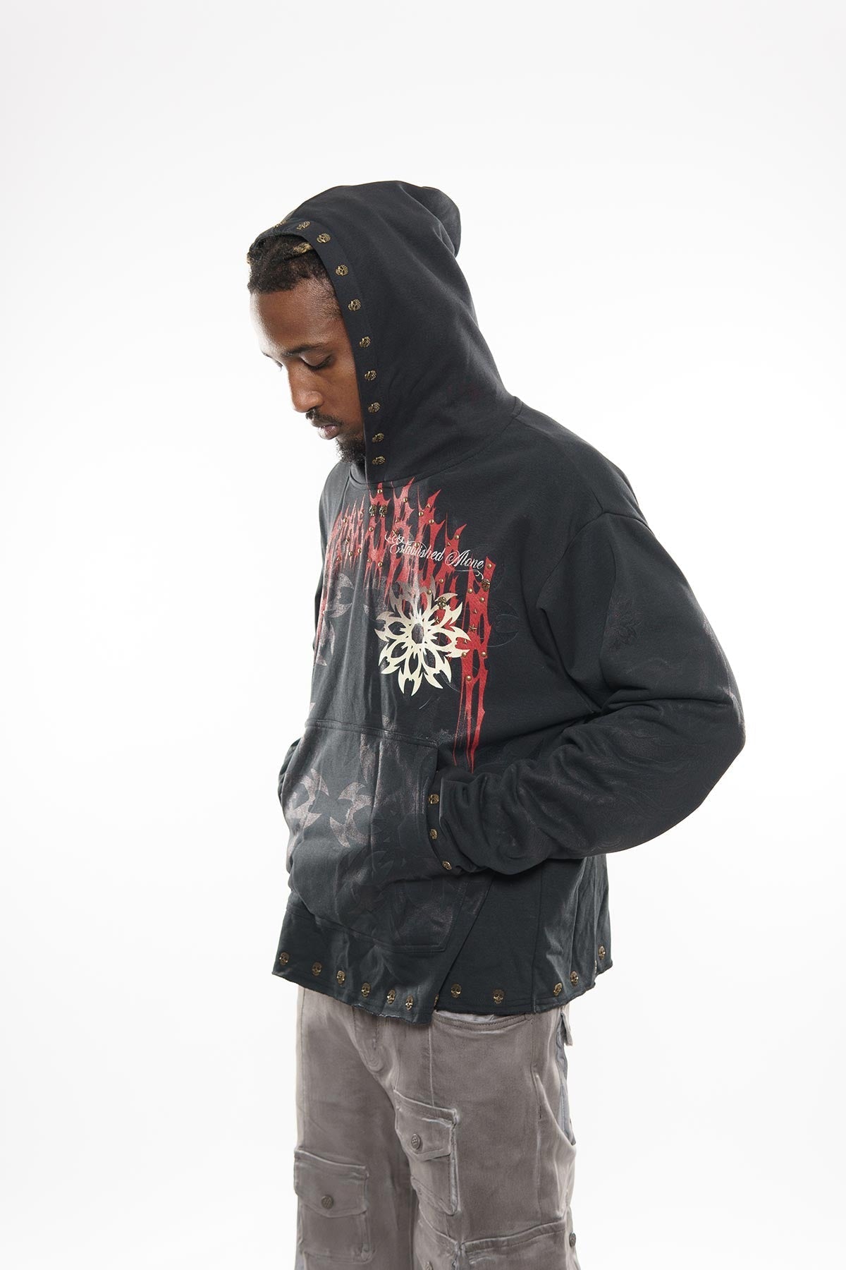 Guardian lion pull over hoodie