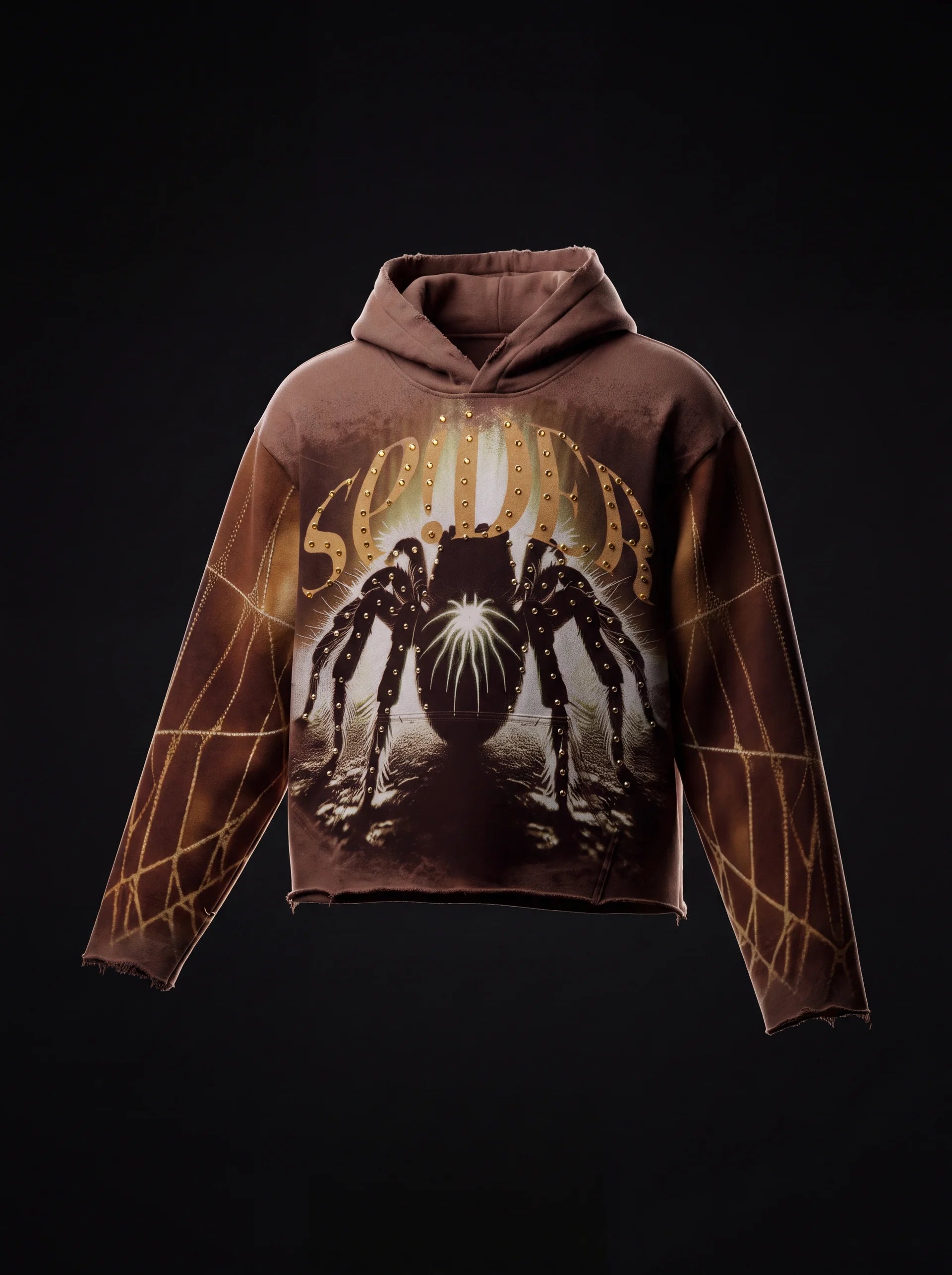 Stray spider Pullover hoodie