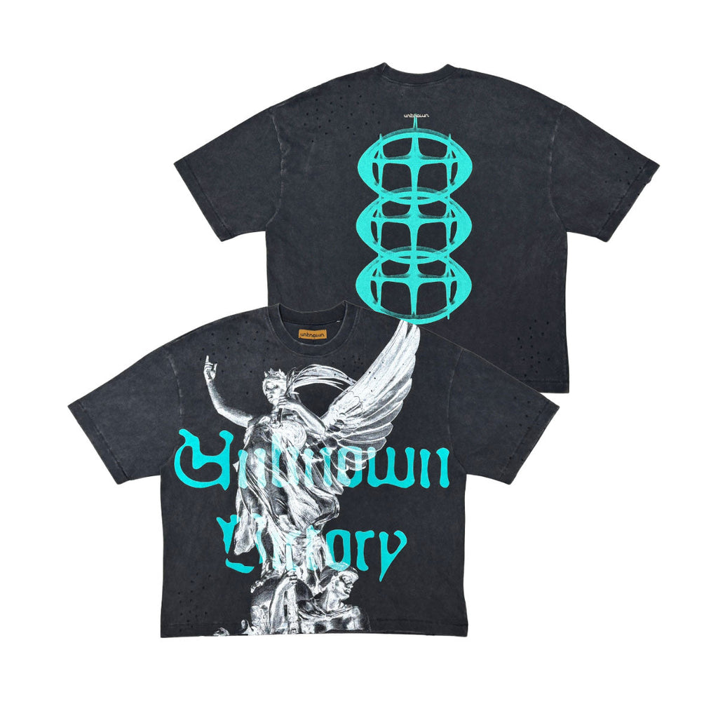 Unknown victory tee