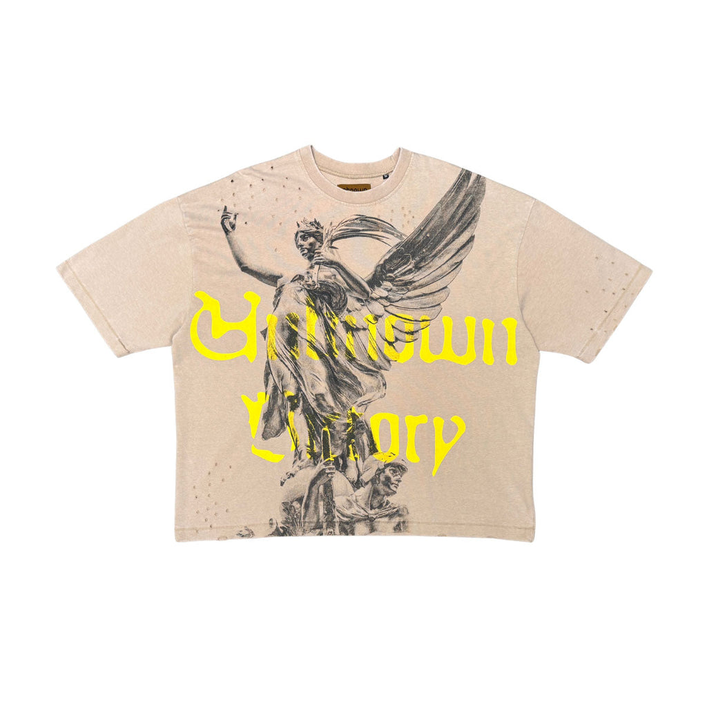 Unknown victory tee